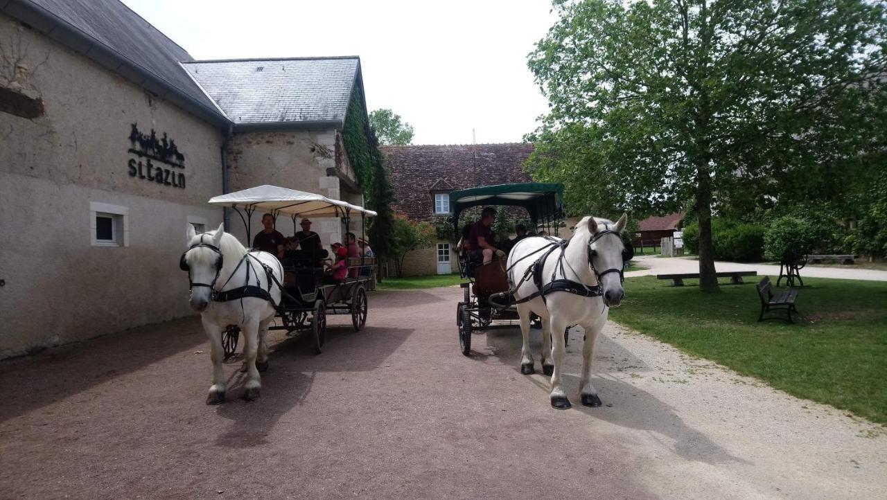 Le Village De Cottages - Le Pole Du Cheval Et De L'Ane Lignières Kültér fotó
